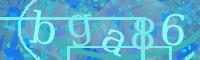 Visual Confirmation Code